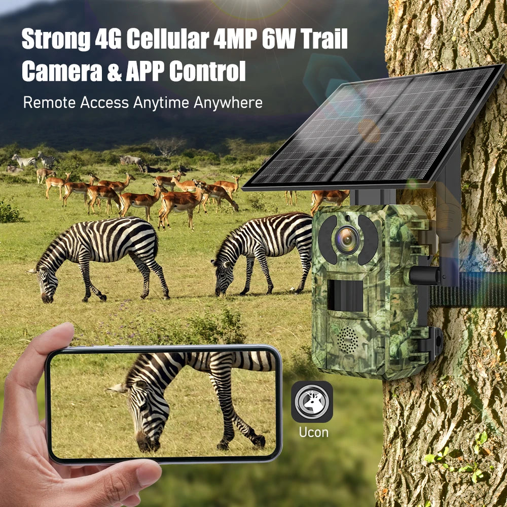 Hunting Camera