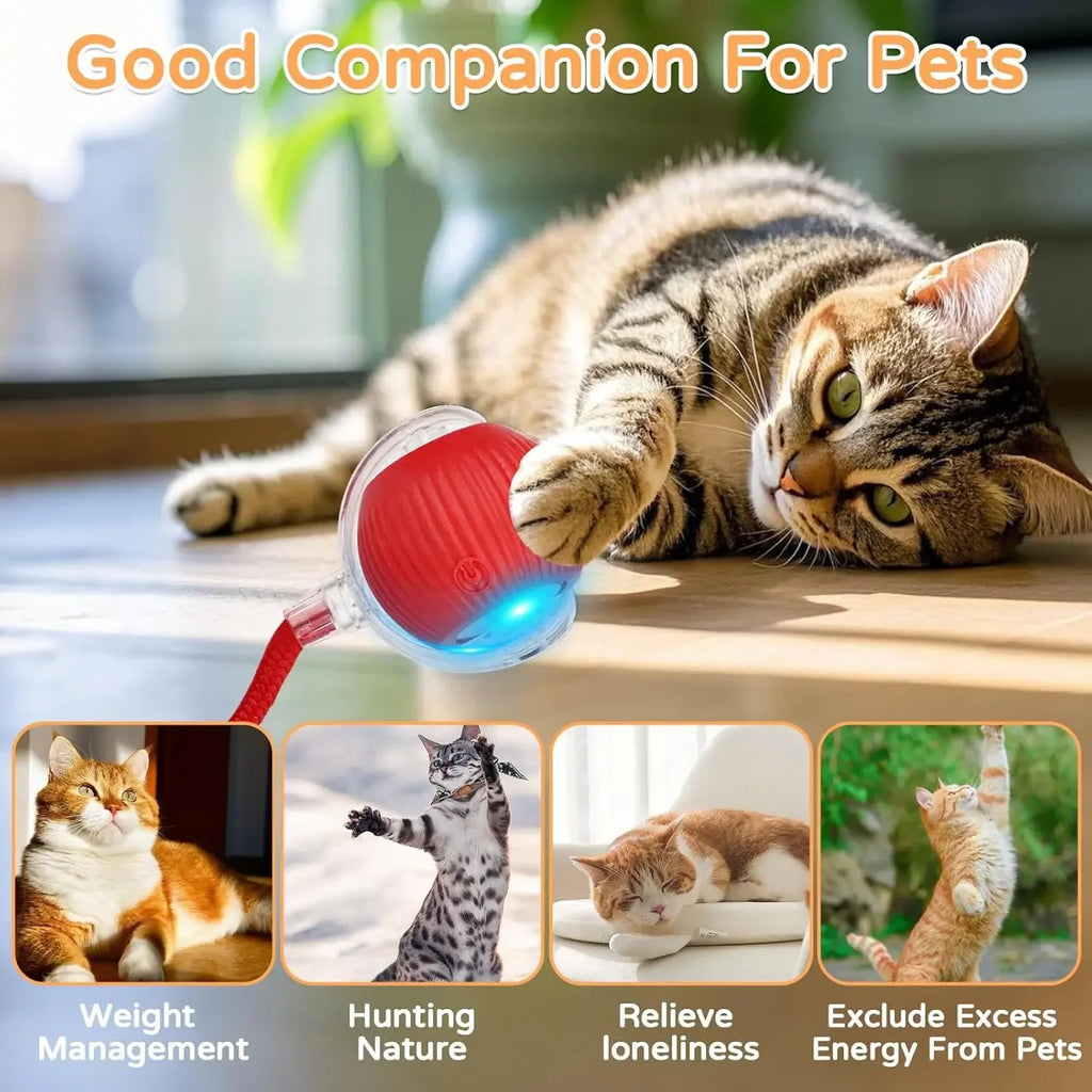 Dog Cat Interactive Ball