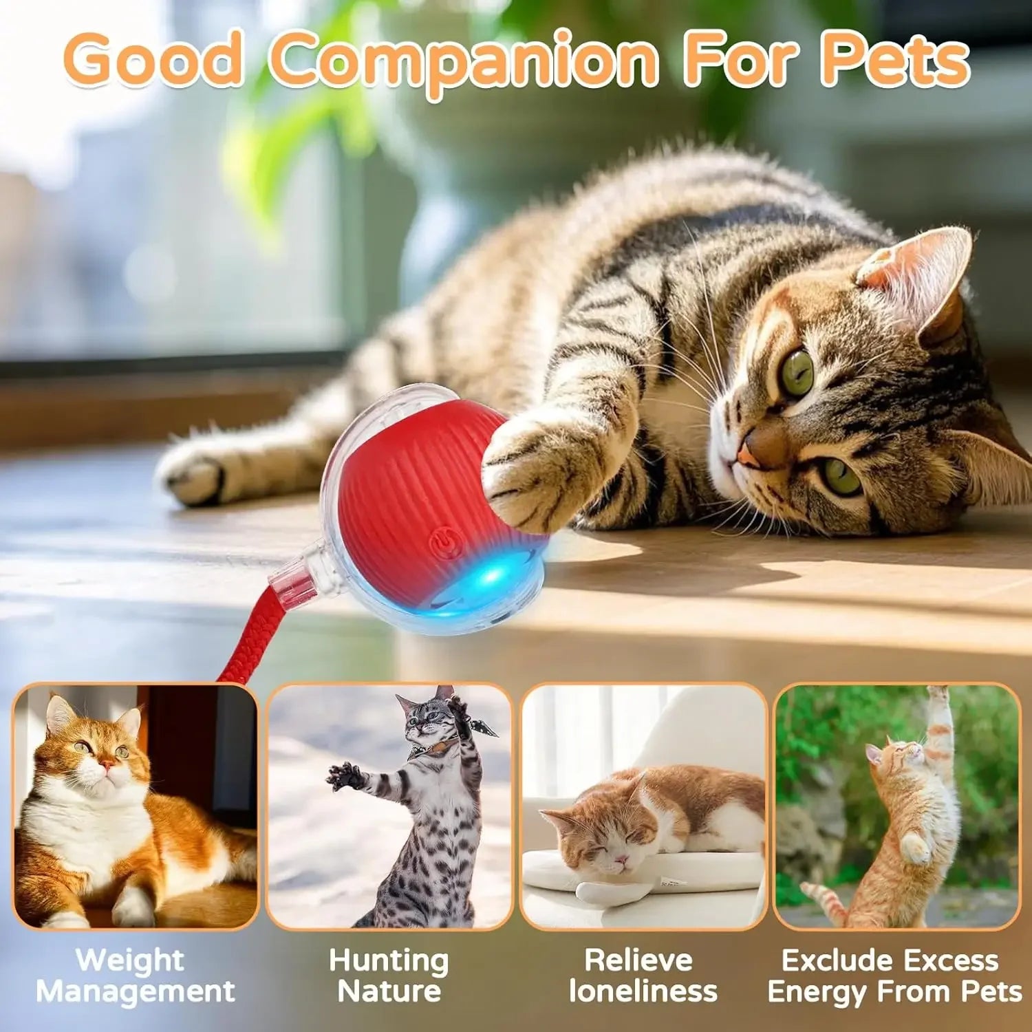 Dog Cat Interactive Ball