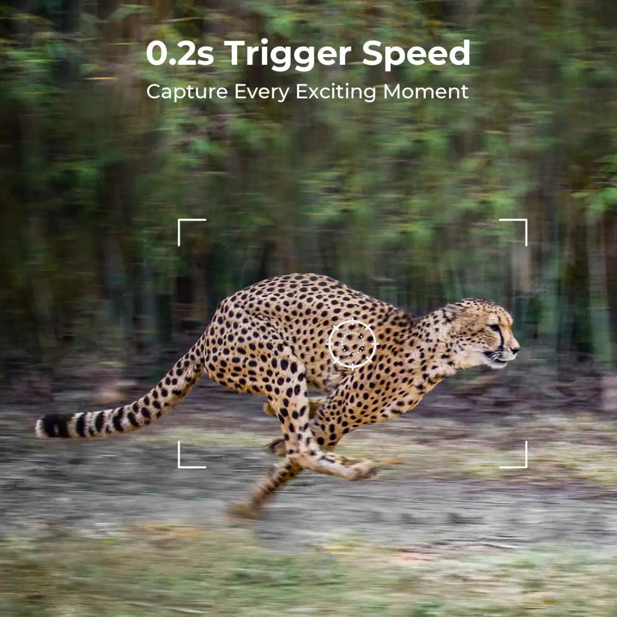 Hunting Camera