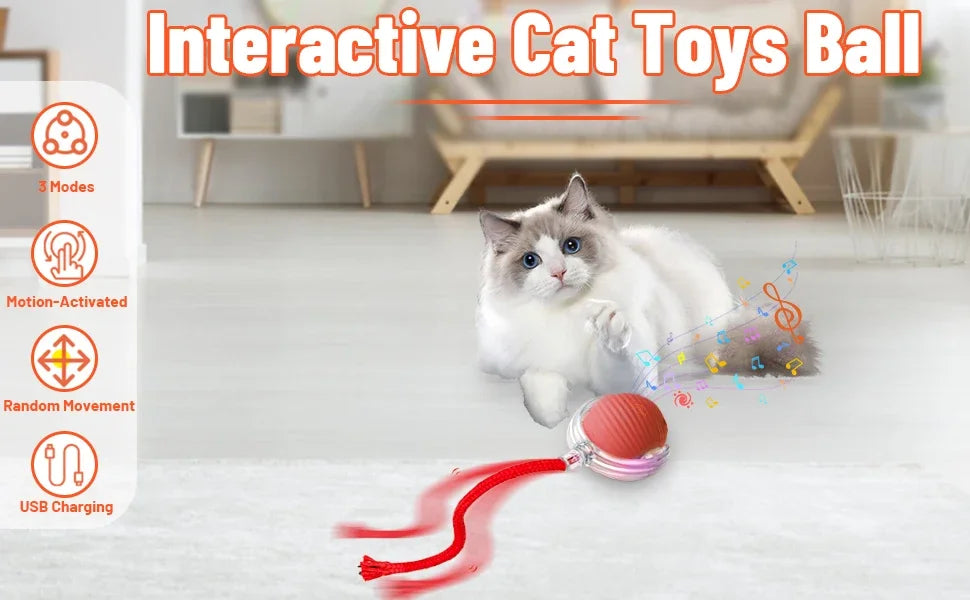Dog Cat Interactive Ball