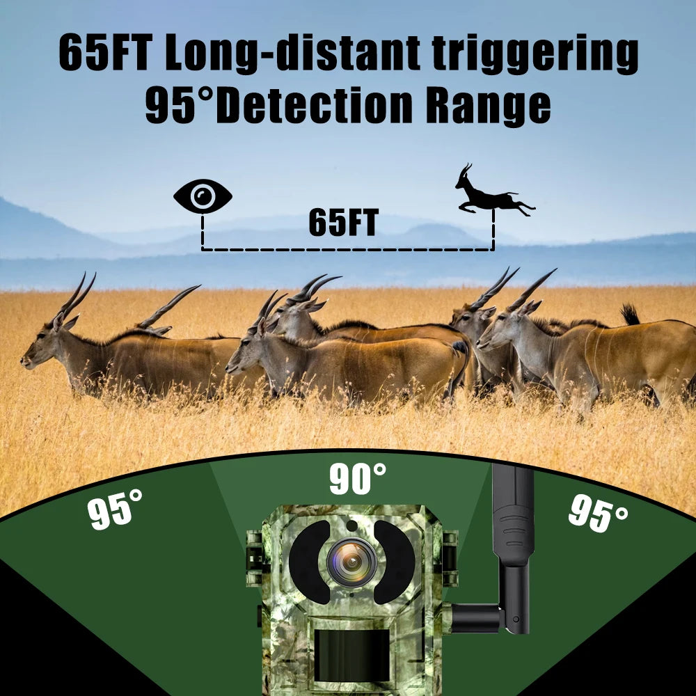 Hunting Camera