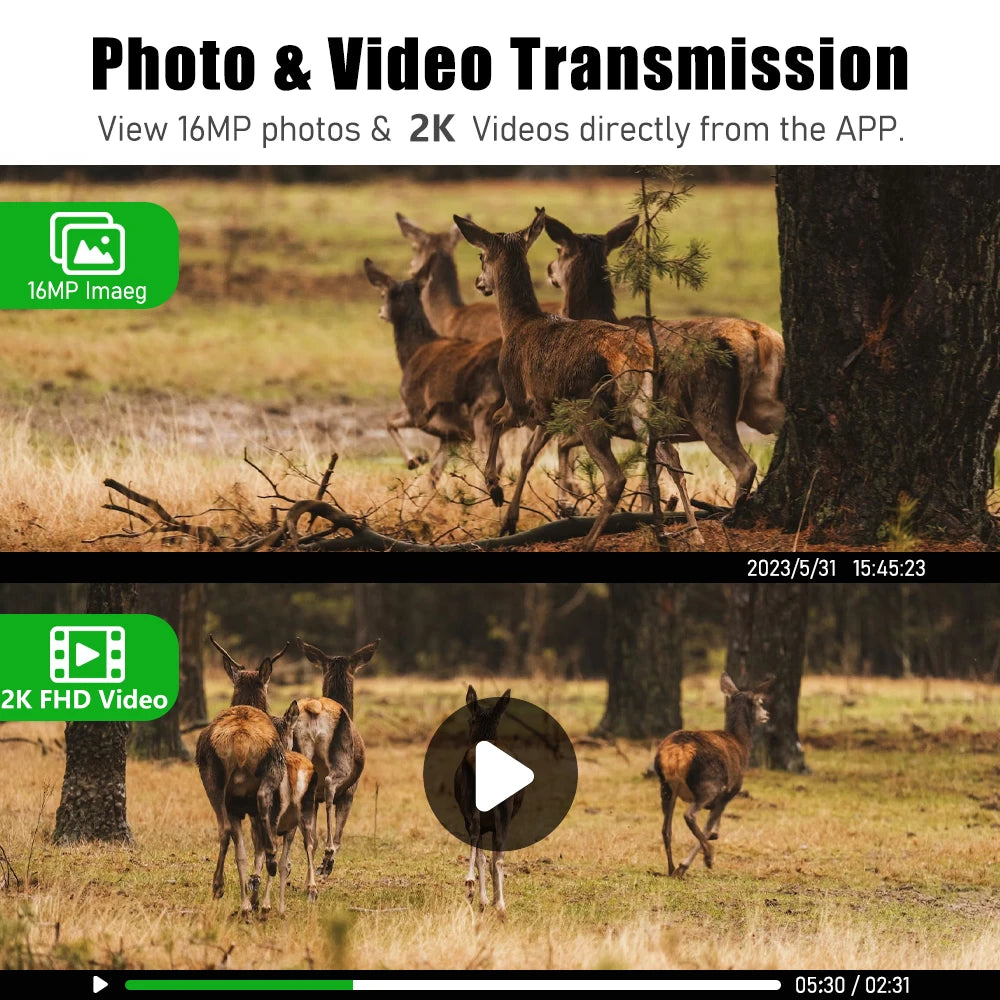 Hunting Camera