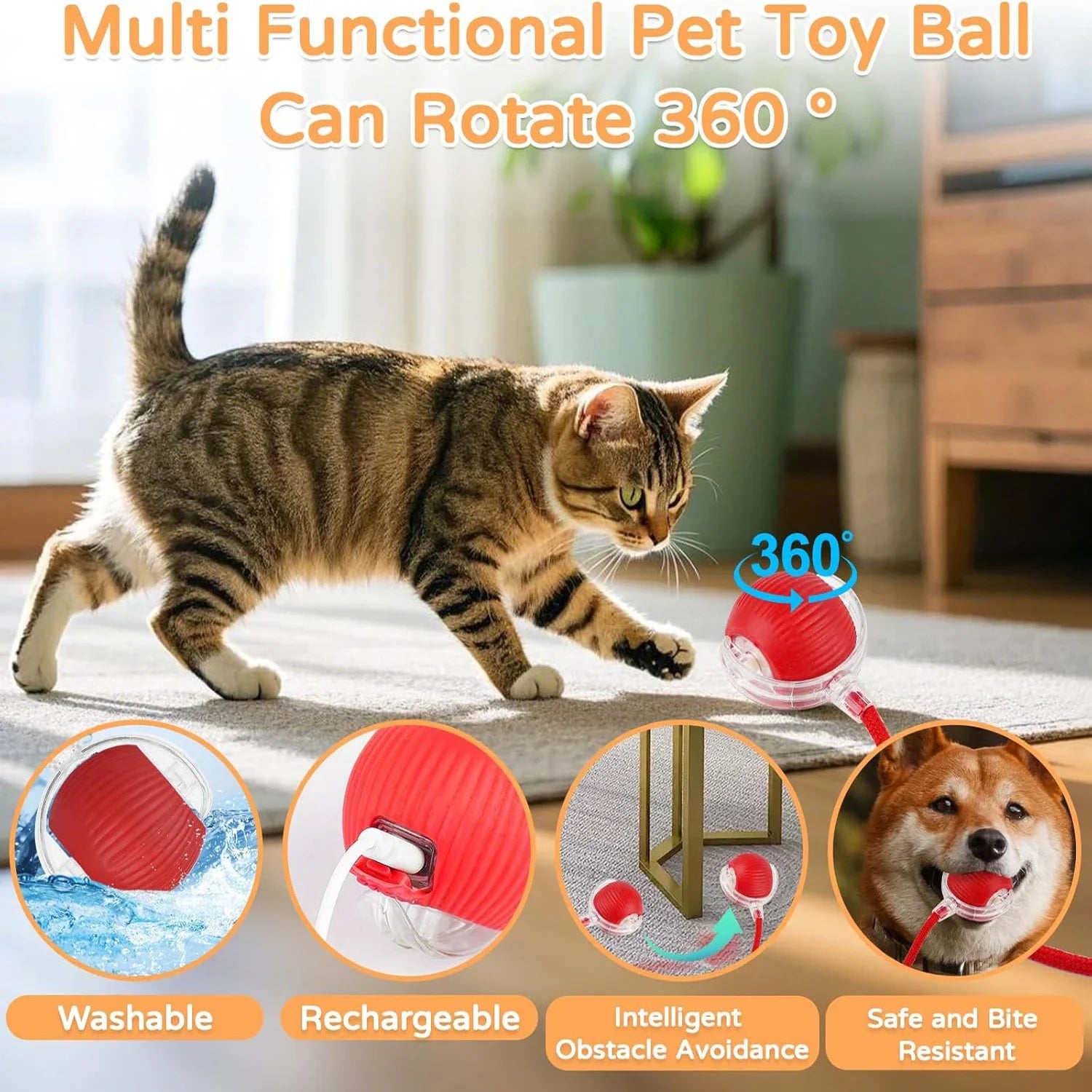 Dog Cat Interactive Ball