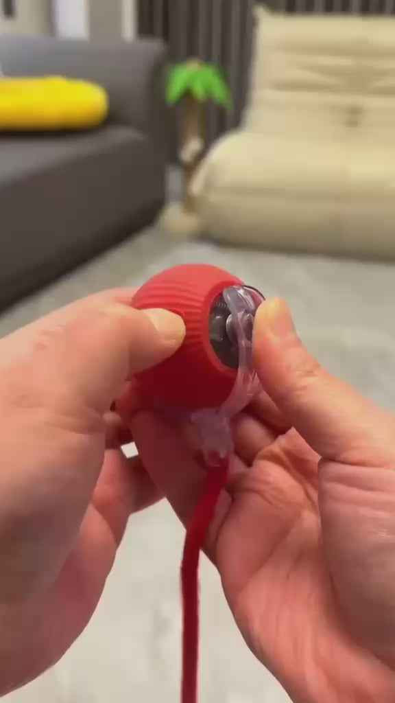 Dog Cat Interactive Ball